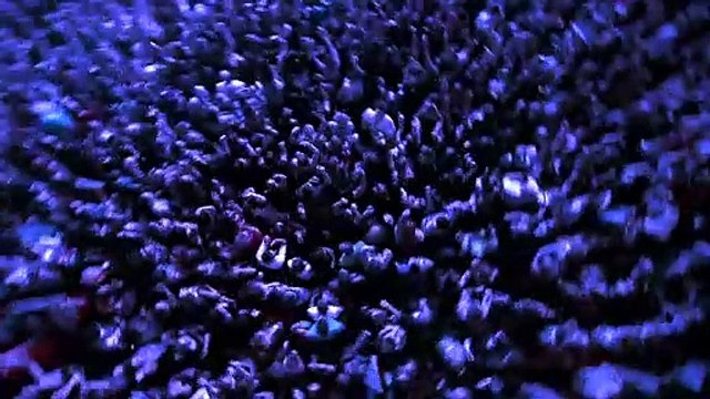 Matt Pokora - Concert à Bercy (Pathé Live) Bande-annonce VF