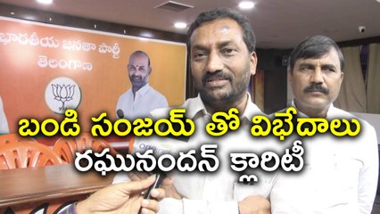 Telangana BJP LeaderShip Need a lot of improvements says Raghunandhan rao.