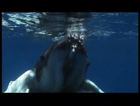 Un jour sur Terre Extrait vidéo (5) VF