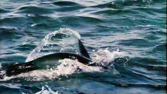 Un jour sur Terre Extrait vidéo (6) VF