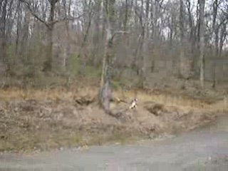 xtrem TT elian et jacinto6