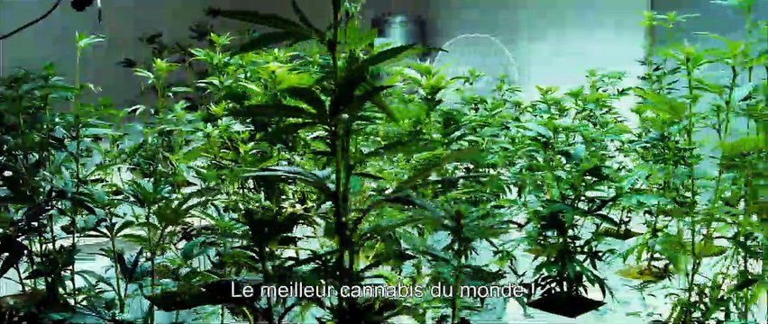 Savages Bande-annonce VO