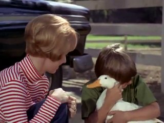 La Cane aux œufs d&#039;or Teaser VO