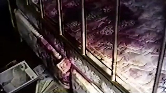 I’ll Be Gone In the Dark Bande-annonce VO