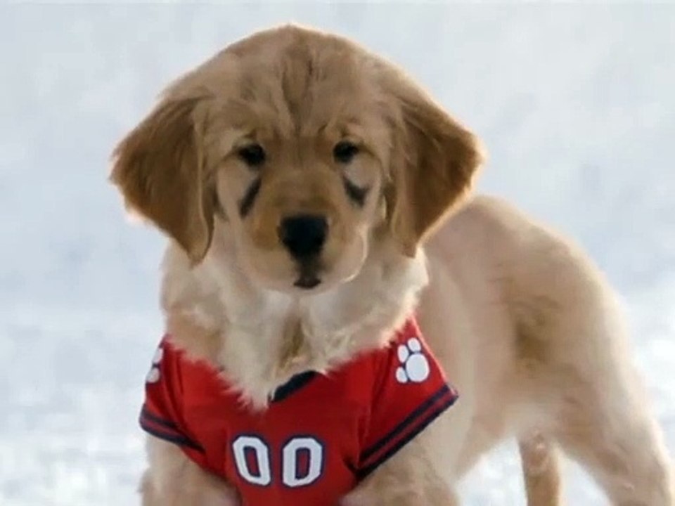 Les Copains des neiges Teaser VO