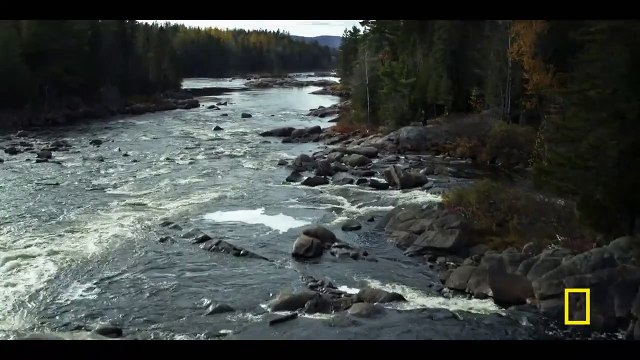 Barkskins : Le sang de la terre - saison 1 Bande-annonce VO