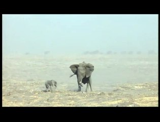 Un jour sur Terre Extrait vidéo (3) VF