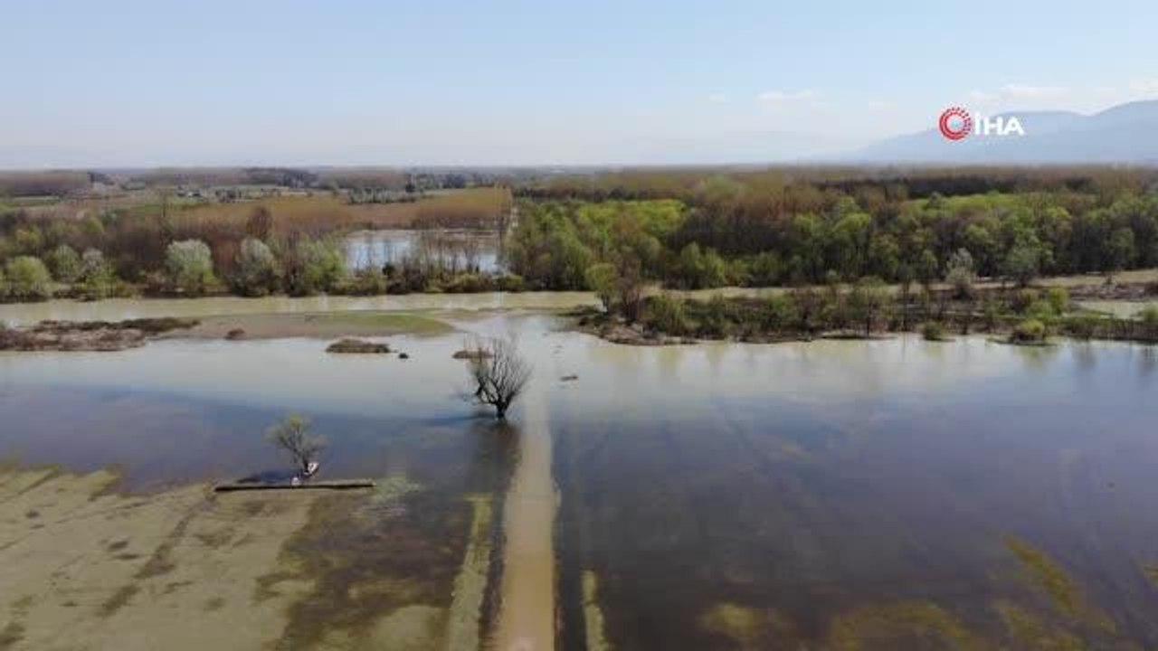 Efteni Gölü karların erimesiyle birlikte taştı, park ve tarım arazileri sular altında kaldı