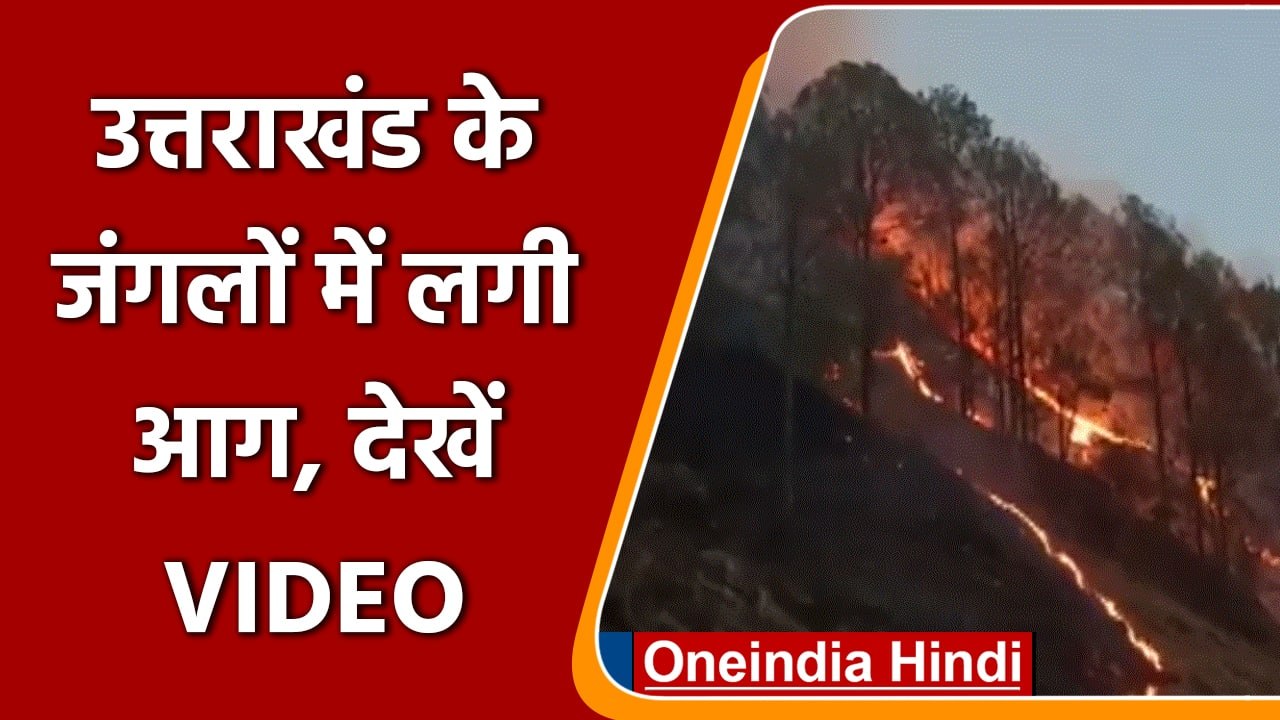 Uttrakhand के जंगल में लगी आग 2 KM के दायरे में फैली,  |Shorts| वनइंडिया हिंदी