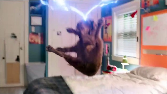 Think Like a Dog Bande-annonce VO