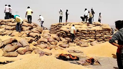Video : मंडी में पांचवी बार लगी आग, बुझाने ने नहीं कोई संसाधन