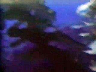 Les Dents de la mer 4 :  La Revanche Bande-annonce VO