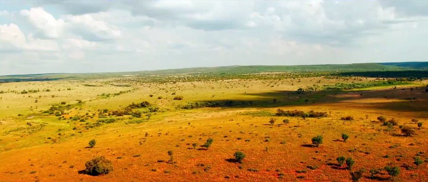 Mia et le Lion Blanc Teaser VF