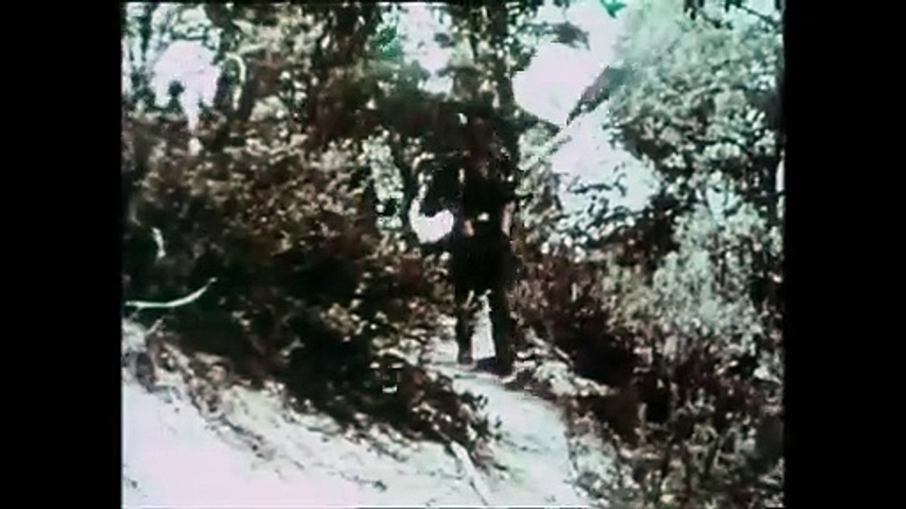 Interview 1 - Français