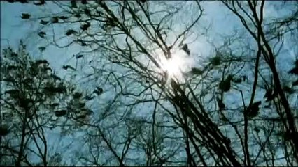 Sheitan Bande-annonce VF