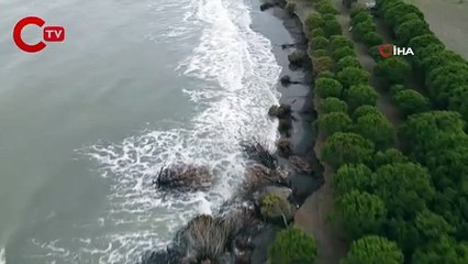 Karadeniz 150 metre kumsalı yuttu, evler tehdit altında
