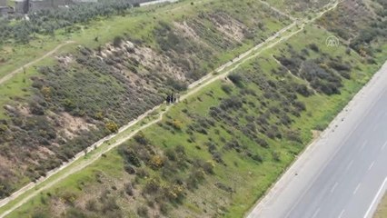 Hırsızlık ve yağma iddiasıyla yakalanan 34 şüpheliden 25'i tutuklandı