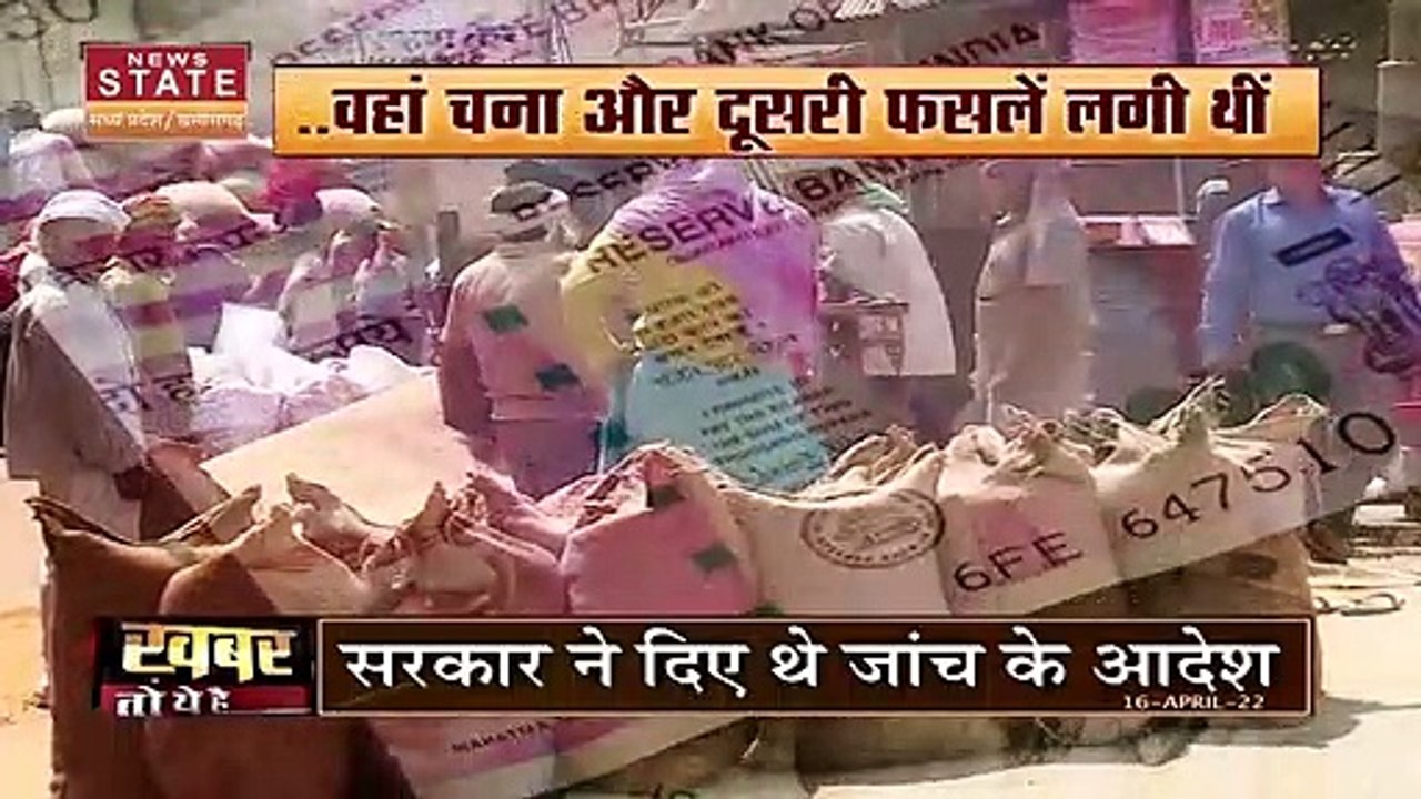 Madhya Pradesh News : गेहूं खरीदी में हुई भारी गड़बड़ी, कागजों में फसल दिखाकर बिक्री