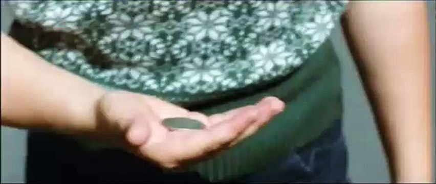 Mr. Nobody Teaser (3) VO