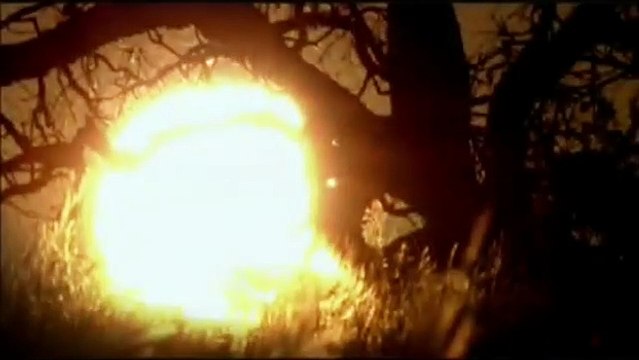 White Lion Bande-annonce VO