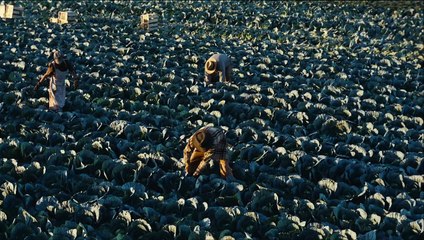 The Master Bande-annonce VF