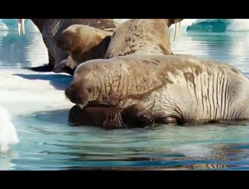 Océans Extrait vidéo (5) VF