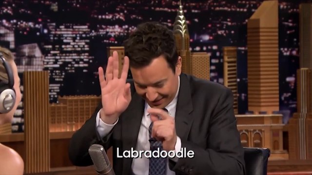 Margot Robbie a du mal à lire sur les lèvres de Jimmy Fallon...