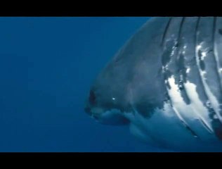 Océans Extrait vidéo (2) VF