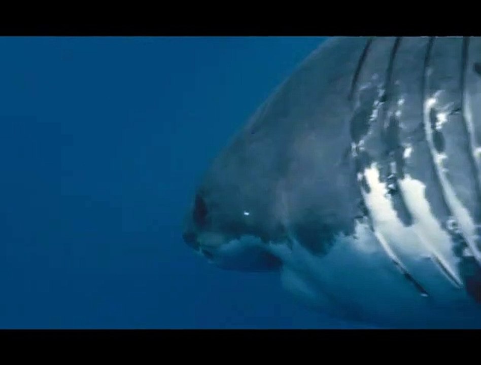 Océans Extrait vidéo (2) VF