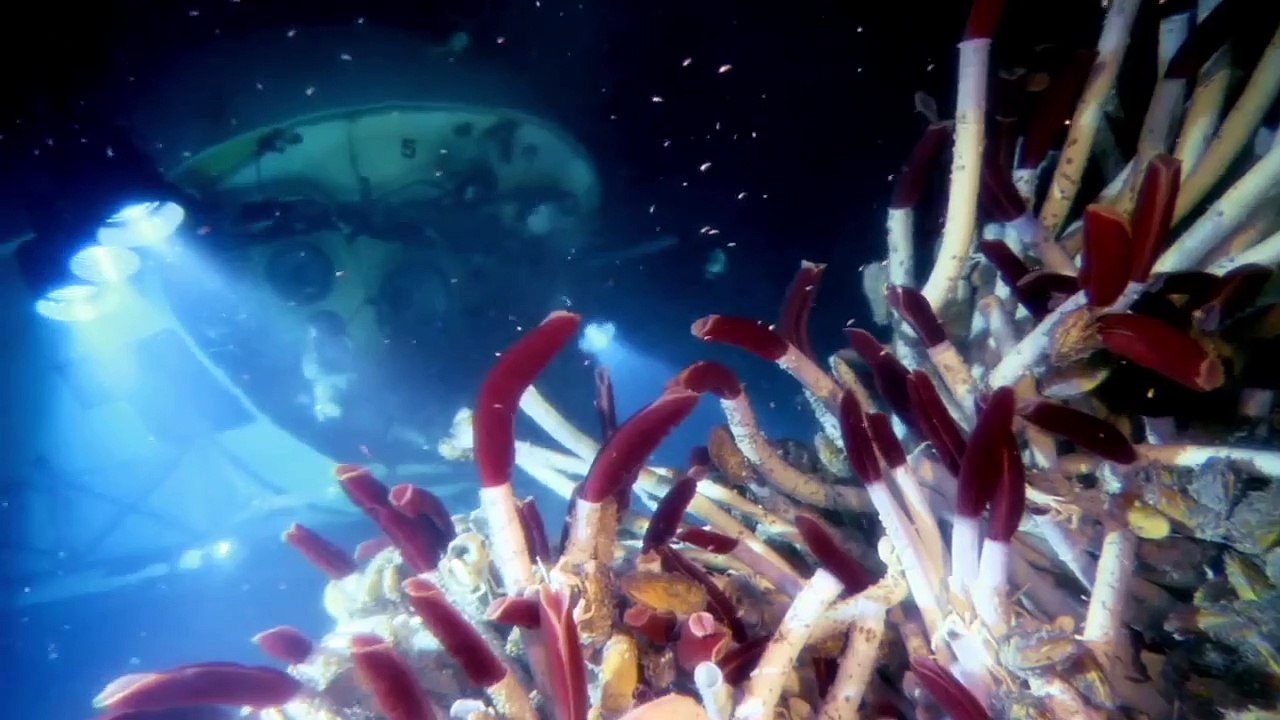 Deepsea Challenge 3D, l'aventure d'une vie Bande-annonce (2) VO