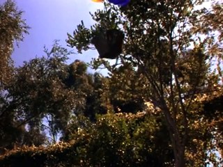 Napoléon en Australie Bande-annonce VO