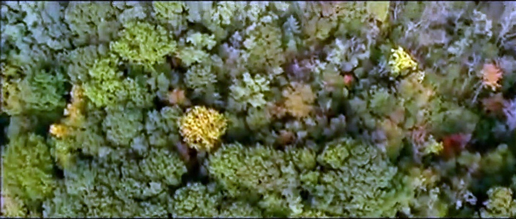 Projet Lazarus Bande-annonce VO