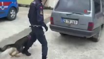 Uyuşturucu tacirlerinin zulasını narkotik köpeği buldu