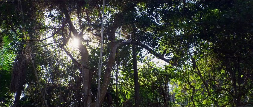 Black Water : Abyss Bande-annonce VO