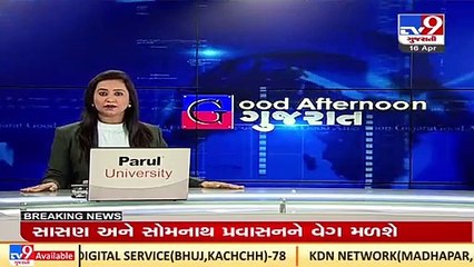 Rahul Gandhi to visit Gujarat on May 1; will kickoff 'Tribal Rights Rally' in Dahod_ TV9News