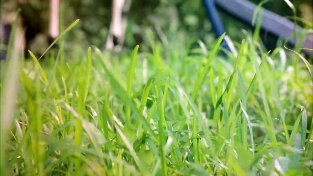 Scream - Saison 1 Bande-annonce Comic-Con