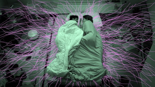 Je suis resté dans les bois Bande-annonce VF