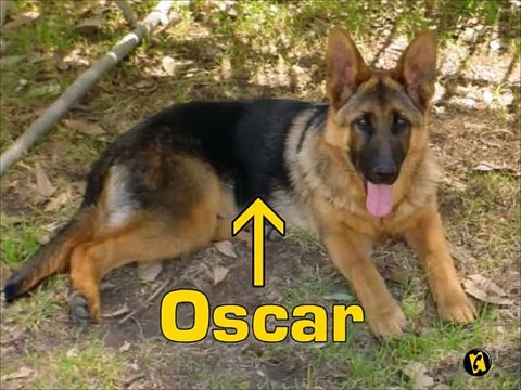 La Minute du mercredi 26 decembre 2007