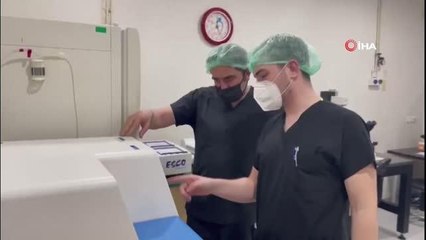 Covid döneminde tüp bebek başvuruları arttı