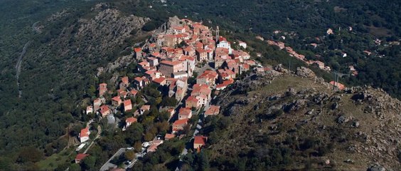 Belle-Fille Bande-annonce VF
