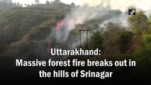 Uttarakhand: Massive forest fire breaks out in the hills of Srinagar