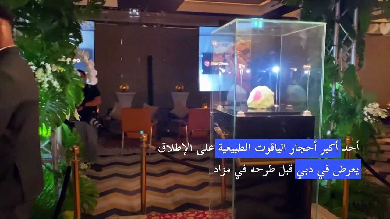 أحد أكبر أحجار الياقوت الطبيعية على الإطلاق يعرض في دبي قبل طرحه في مزاد