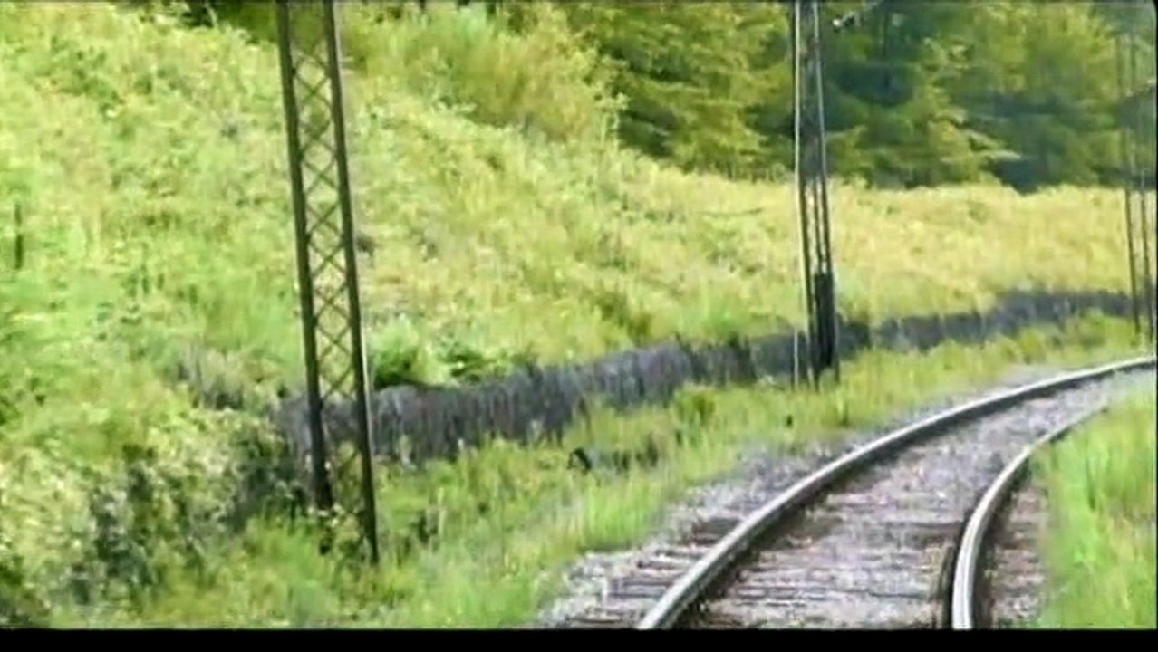 Pas de problèmes Extrait vidéo VO