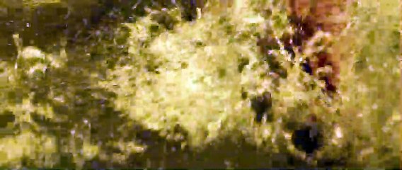 Une histoire d&#039;amour et de ténèbres Extrait vidéo VO