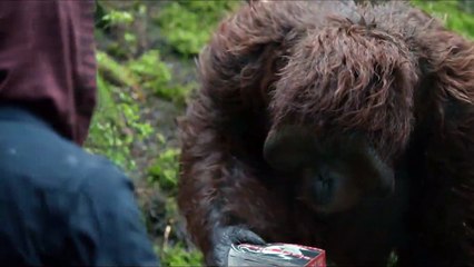 La Planète des singes : l&#039;affrontement - EXTRAIT VOST "Le livre"