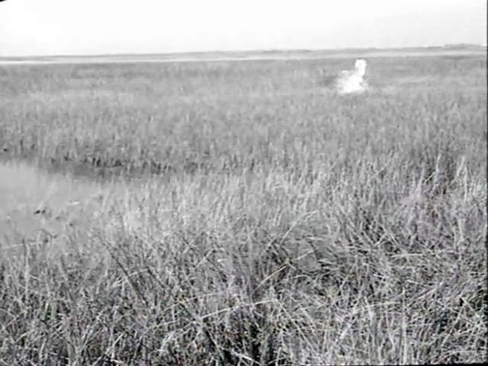 Crin blanc: Le cheval sauvage Extrait vidéo VF