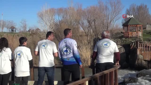 Van Gölü Aktivistleri, inci kefali nöbeti tuttu