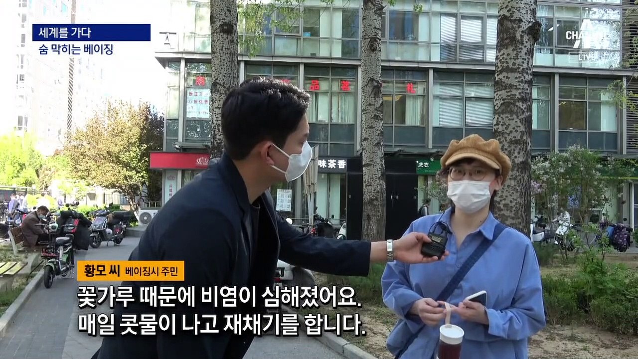 [세계를 가다]中, 황사 막으려 나무 심었다가…꽃가루 폭탄