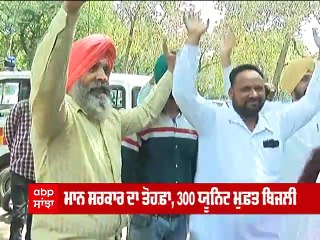 300 Unit ਫ੍ਰੀ ਬਿਜਲੀ ਦਾ ਕਿੰਨ੍ਹਾ ਨੂੰ ਫਾਇਦਾ ਤੇ ਕਿੰਨ੍ਹਾ ਨੂੰ ਹੋਵੇਗਾ ਨੁਕਸਾਨ ? | Abp Sanjha