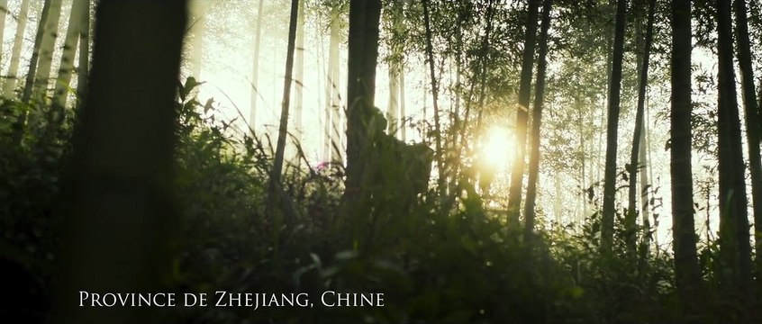 The Lost Soldier Bande-annonce VF